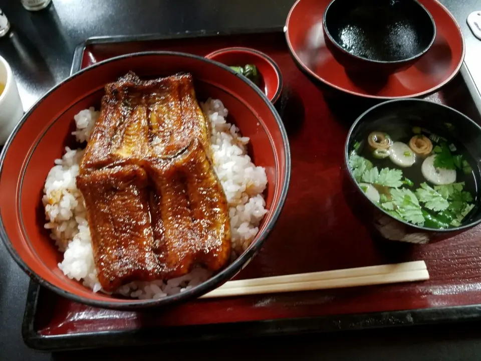 かどやのうなぎ丼 #うなぎ丼|Morito Kamiyaさん