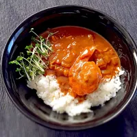 海老の殻で出汁を取ったカレー|Naoki Munakataさん