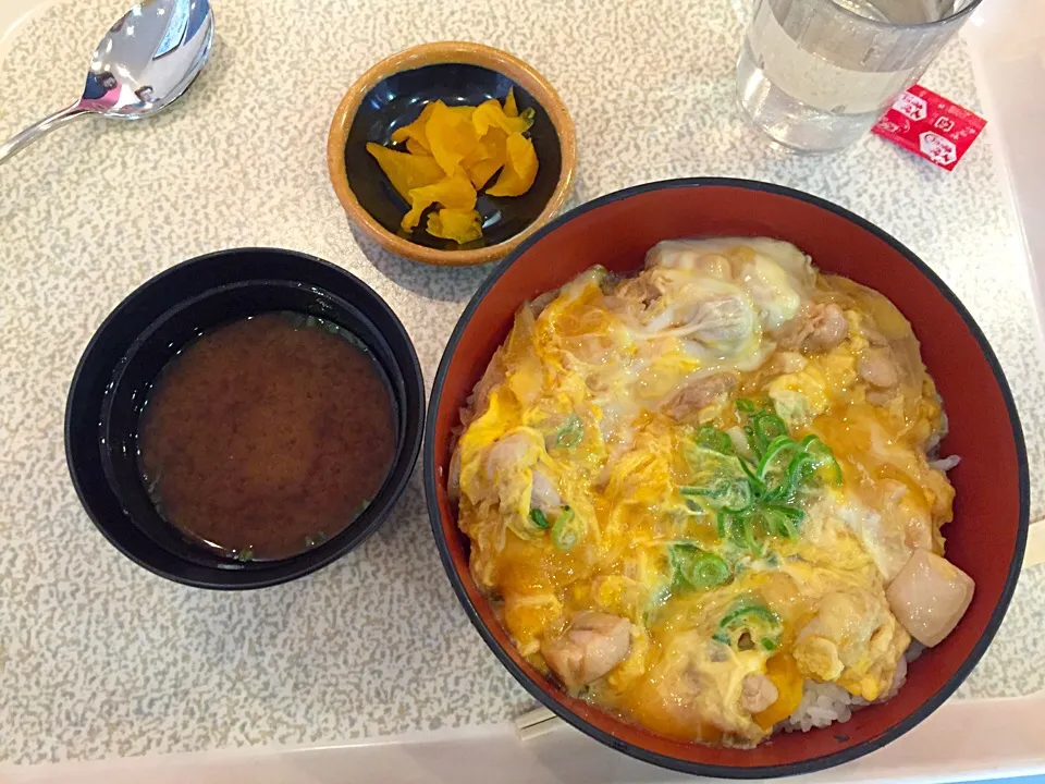 Snapdishの料理写真:伊丹空港 親子丼|ゆきさん