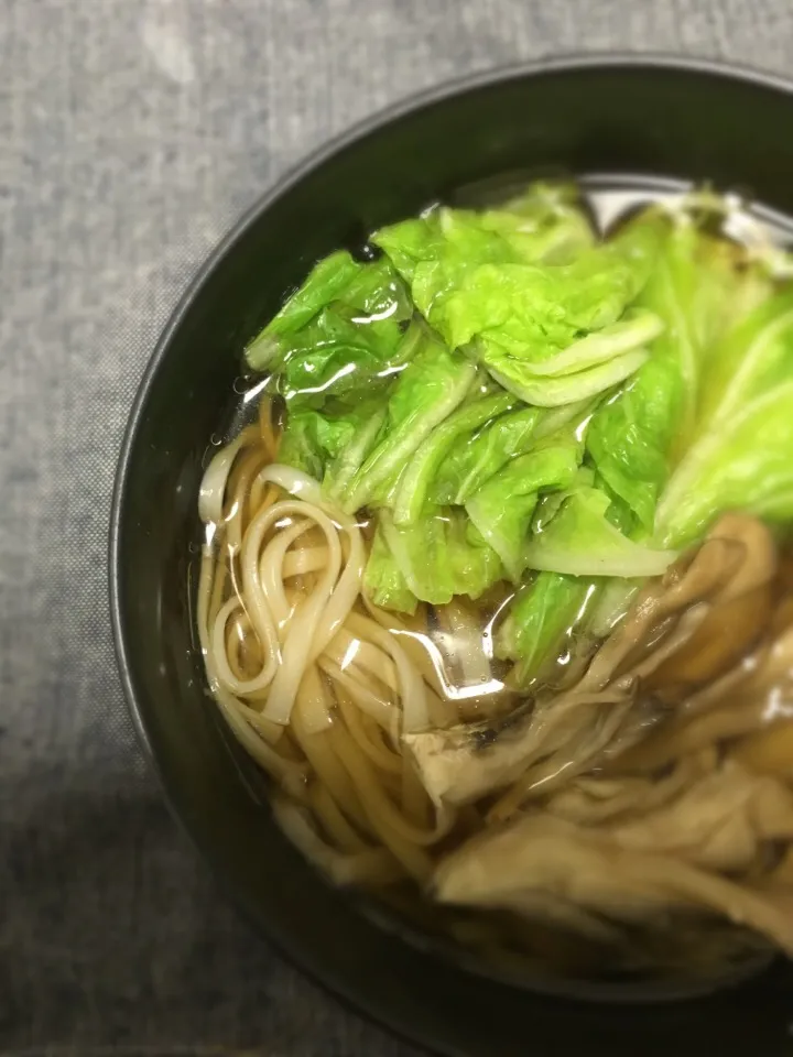 稲庭うどん+野菜|norickさん