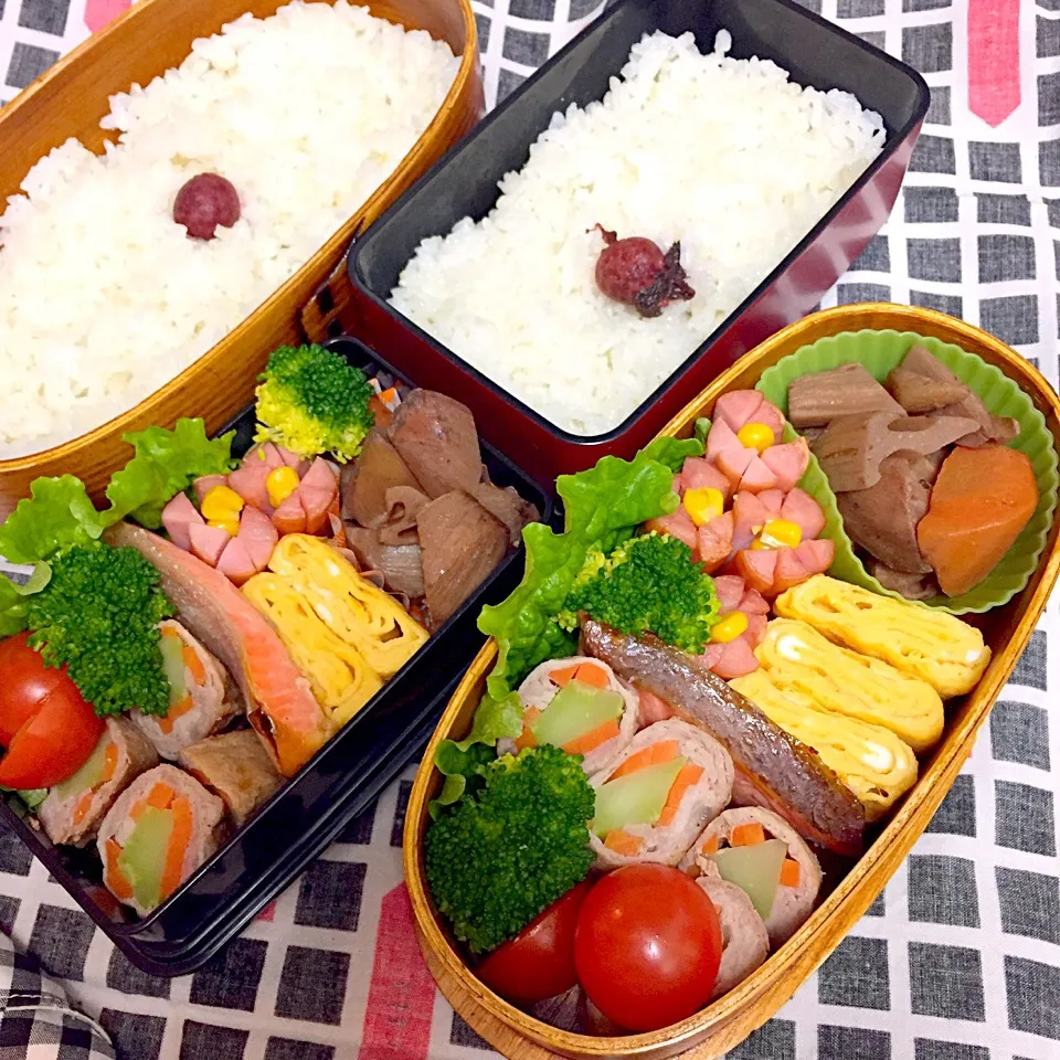 Snapdishの料理写真:1/16 中学男子のお弁当&パパ弁|おおけいさん