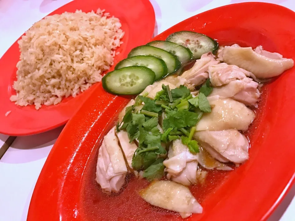 今日の遅ランチは鶏飯。コレは再現度高いわ…。
プラスチックのプレートに薄っぺらい金属食器…。|たけうちさん