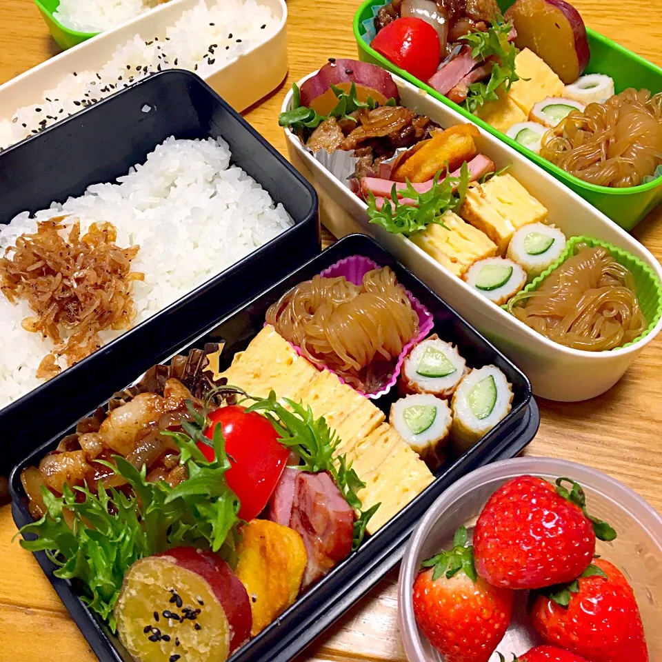 Snapdishの料理写真:今日のお弁当🍱2017.1.17
パパ弁👨娘弁☺my弁😃
#お弁当|mayuさん