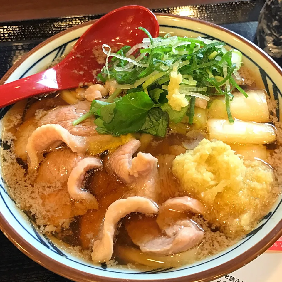 丸亀製麺の鴨ねぎうどん|純さん