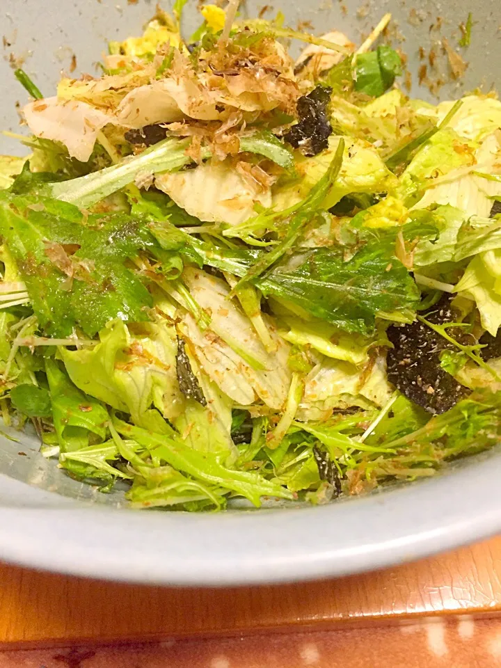 水菜と豆苗とレタスに鰹節と海苔のサラダ。ごま油と塩で味付け|みかんさん