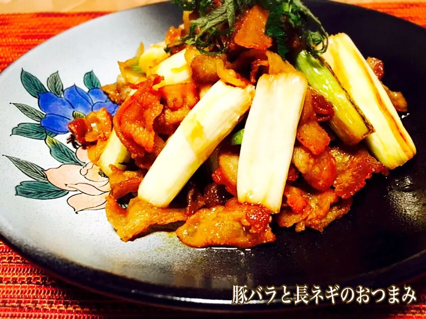 Snapdishの料理写真:Tomoko Itoさんの料理 この豚バラと長ネギのおつまみ好きなんだよね〜ʕ•̫͡•ʔ♬✧|じゅんけさん