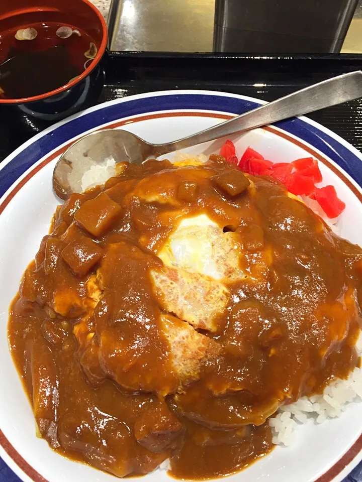 カレーかつ丼|T. Wonderさん