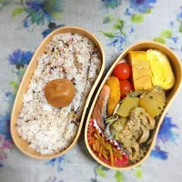 Snapdishの料理写真:手抜き弁当|ericatさん