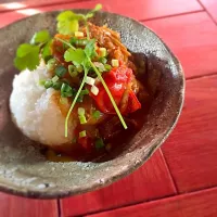 【どじょうのまかない飯】牛肉ととろとろ葱とトマトのクリームカレー|どじょうさん