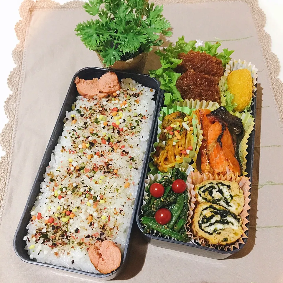 1/20❤︎主人のお弁当❤︎|Makinsさん