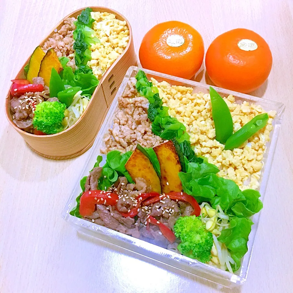 子供達のお弁当|yuuco🍾さん