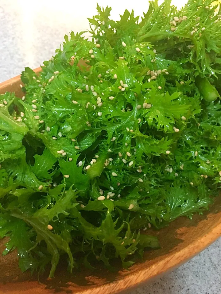 Snapdishの料理写真:わさび菜のシンプルサラダ🥗ごま油と塩コショウ味😋|てんてんさん