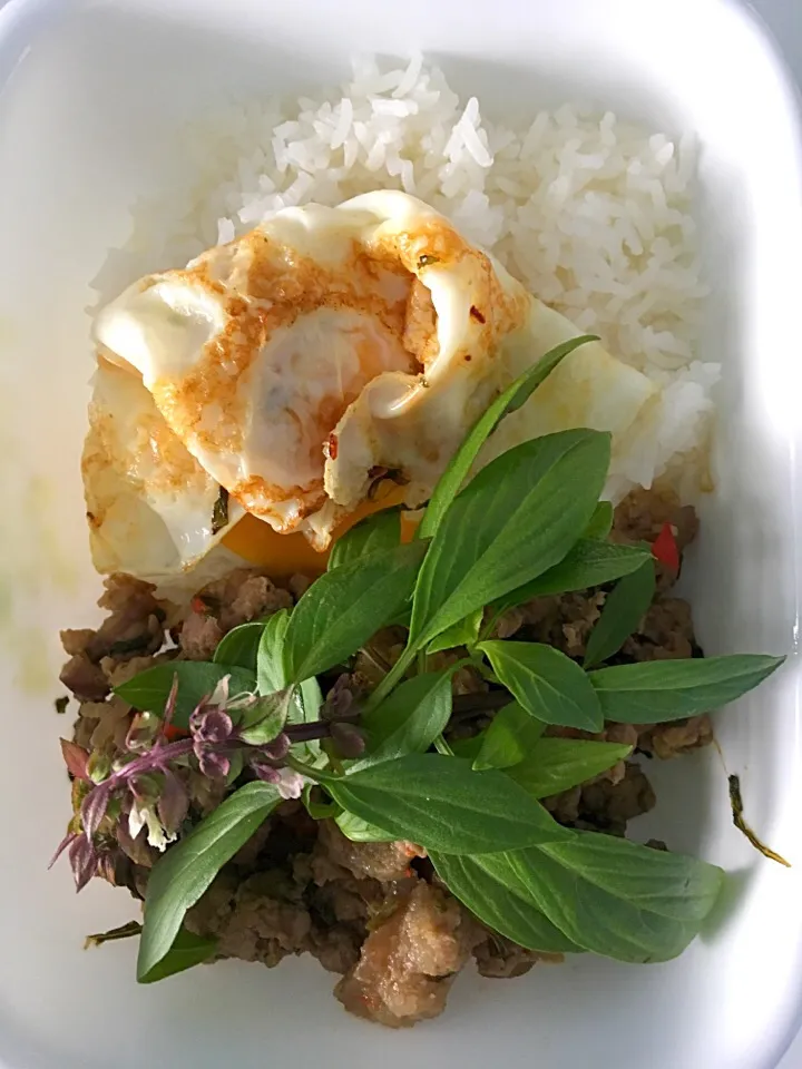 Lunch bento. Thai basil pork with sunny side up|Ong Sor Fernさん