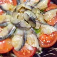 〆鯖サラダ🐟内側には水菜とオニオンスライスが控えてます🍅#サラダ#しめ鯖 #新玉ねぎスライス #オリーブオイル旨い