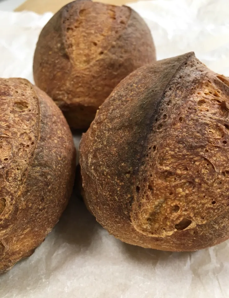 Snapdishの料理写真:Tartine style spelt sourdough country bread|gonbenさん