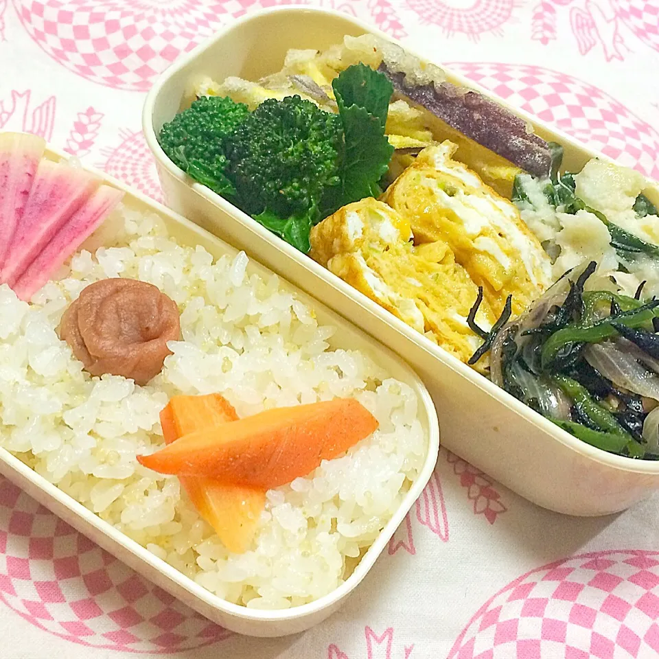 【今日のお弁当】さつまいものかき揚げ/ブロッコリーのすりだね和え/ネギの玉子焼き/ワカメとツナのポテトサラダ/豚肉とひじきの炒め煮/紅芯大根と人参の糠漬け/梅干/キヌアとアマランサス入り白米|鯨井 真由美さん