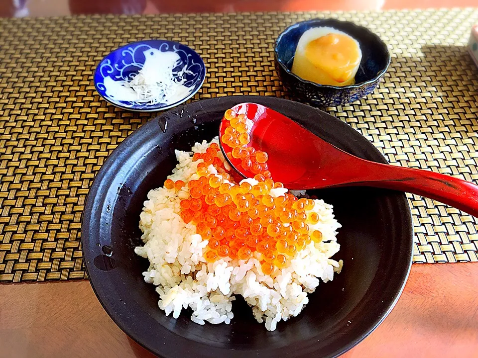 たっぷりいくら丼♪
しらすとふろふき大根と|72roseさん