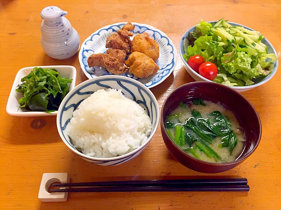 唐揚げ2種 醤油とスパイシー|ルドルフさん