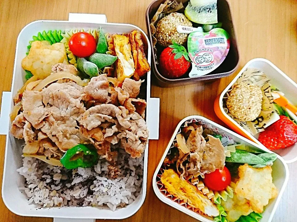 Snapdishの料理写真:17*1*23 娘弁当🎵息子弁当|hilocoさん