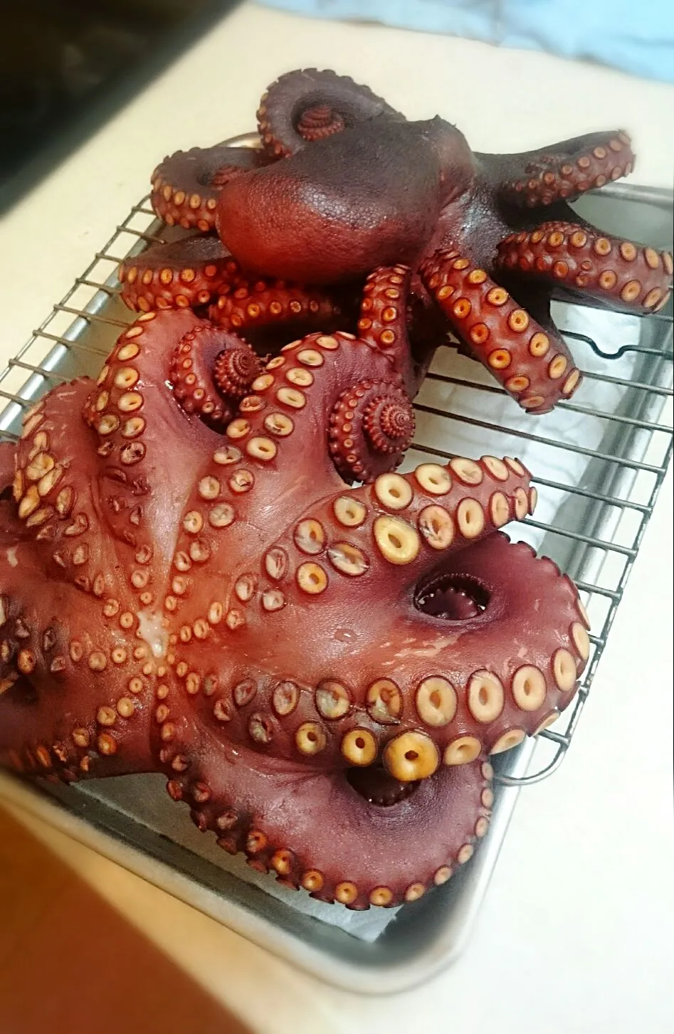 Snapdishの料理写真:佐島のタコ🐙燻製Ψ(￣∇￣)Ψ|ナムナムさん