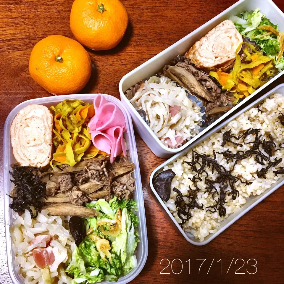 1/23 お弁当|もっちさん