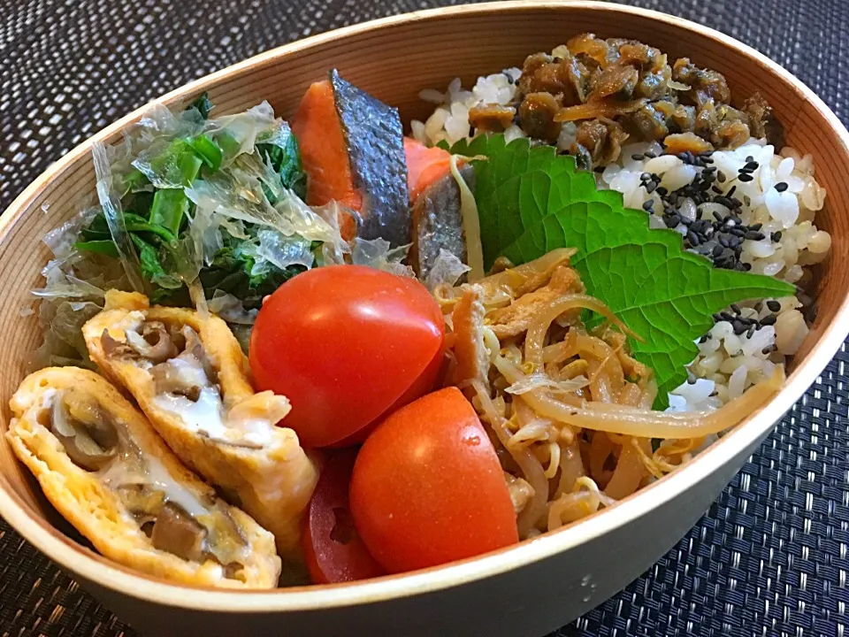 今日のお弁当
焼き鮭
ちぢみほうれん草と湯葉の和え物
もやしとお揚げのさっと煮
舞茸の卵焼き
プチトマト
もち麦ごはん
しじみの生姜炊き

#わっぱ弁当#曲げわっぱ #焼き鮭弁当 #舞茸の卵焼き|Naoko Miyataさん