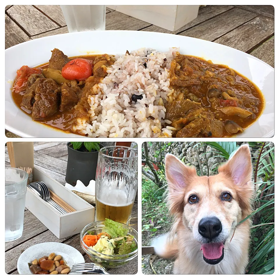 Snapdishの料理写真:休日ランチ
  中村屋 ビーフ&牛すじ|ちゅら夏さん