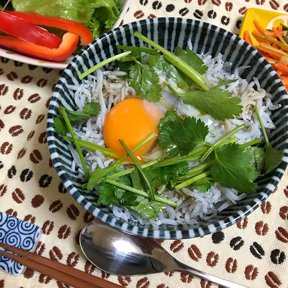 パクチーしらす丼|あさかさん