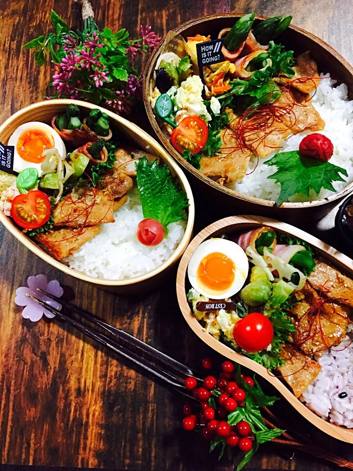 生姜焼き弁当|Marikoさん