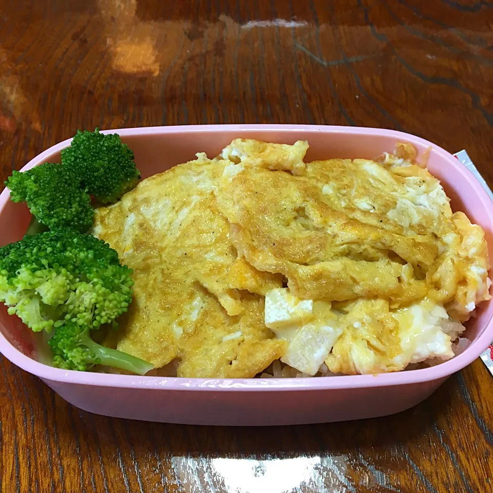 1/25のお弁当|どくきのこさん