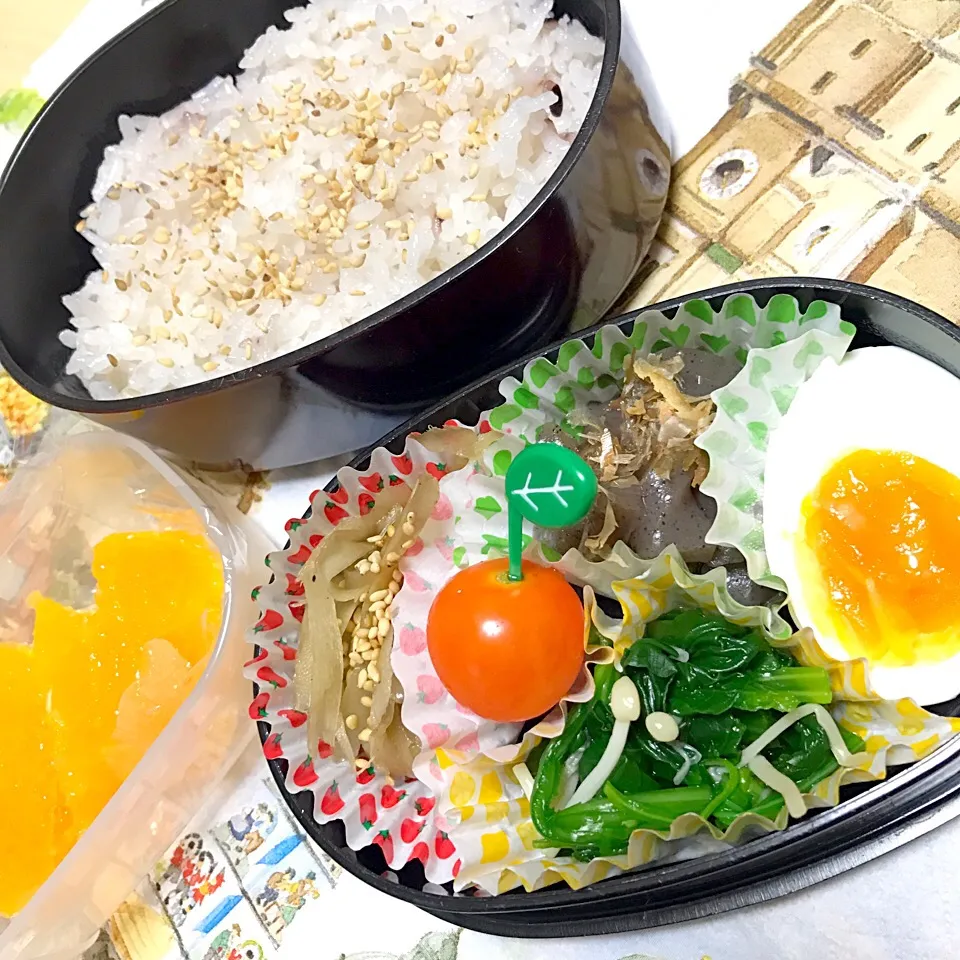 今日のお弁当(๑◕ˇڡˇ◕๑)
#お弁当
#おひるごはん|kazukazuさん