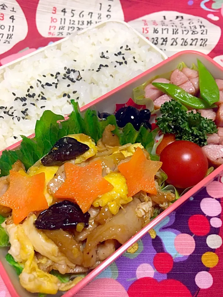 豚肉と卵のオイスターソース炒め弁当|かりんかさん