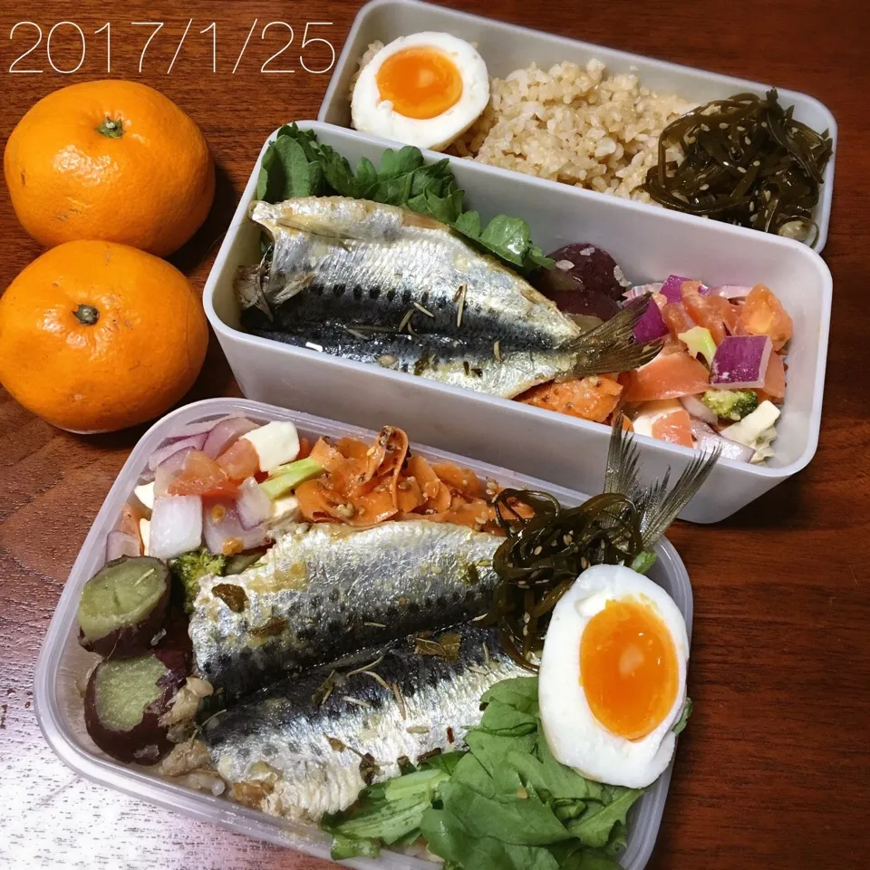 1/25 お弁当|もっちさん