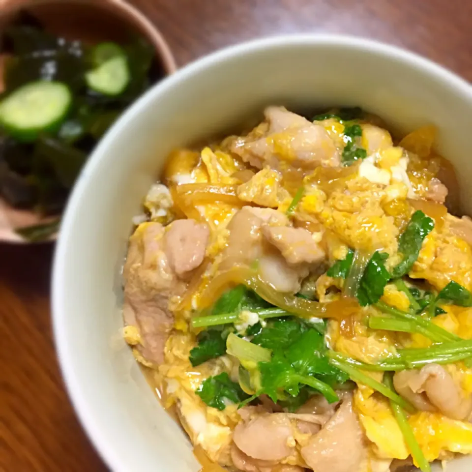 Snapdishの料理写真:お婆ちゃんの親子丼|みつなち☆さん