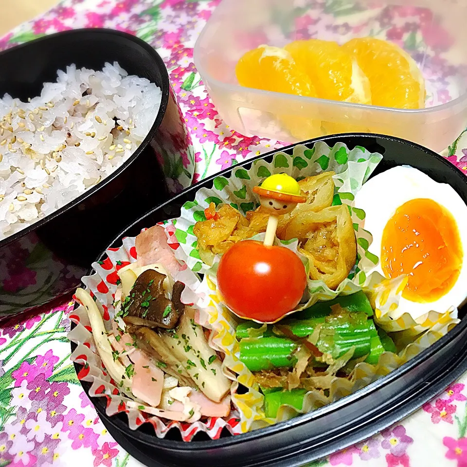 今日のお弁当(๑◕ˇڡˇ◕๑)
#お弁当
#雑穀米 
#おひるごはん
#ランチ
#フルーツ
#伊予柑|kazukazuさん