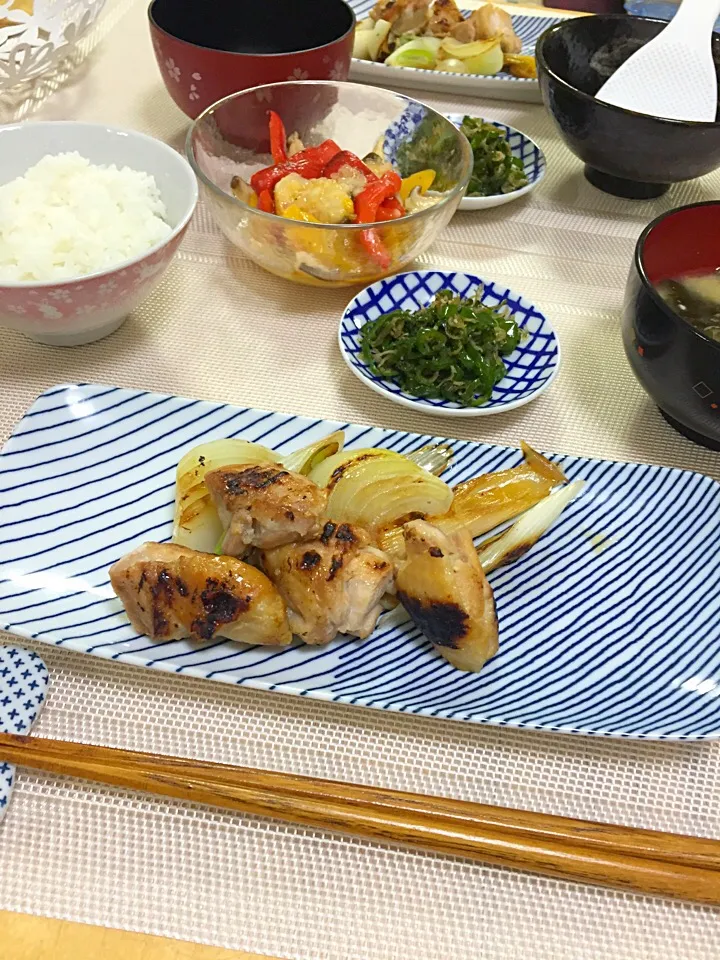 塩麹の鳥焼withねぎ 玉ねぎ
豆腐とわかめの味噌汁
ピーマンとじゃこ炒め
パプリカとえのきのマリネ|ひまわりさん