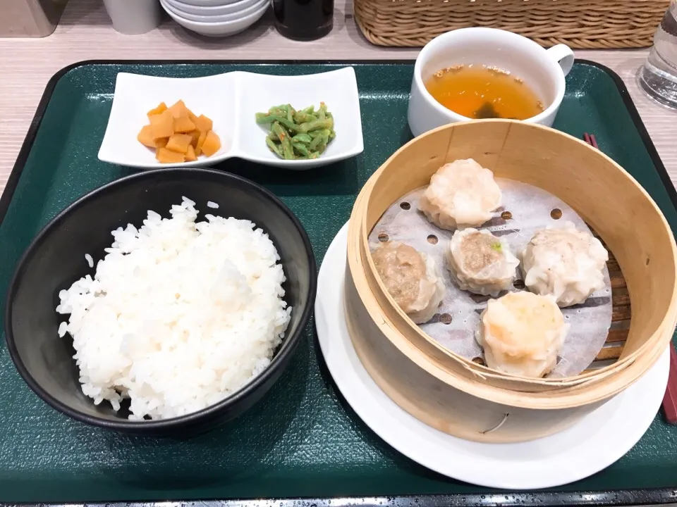 崎陽軒のシウマイ食べ比べ膳|ちゃみこさん