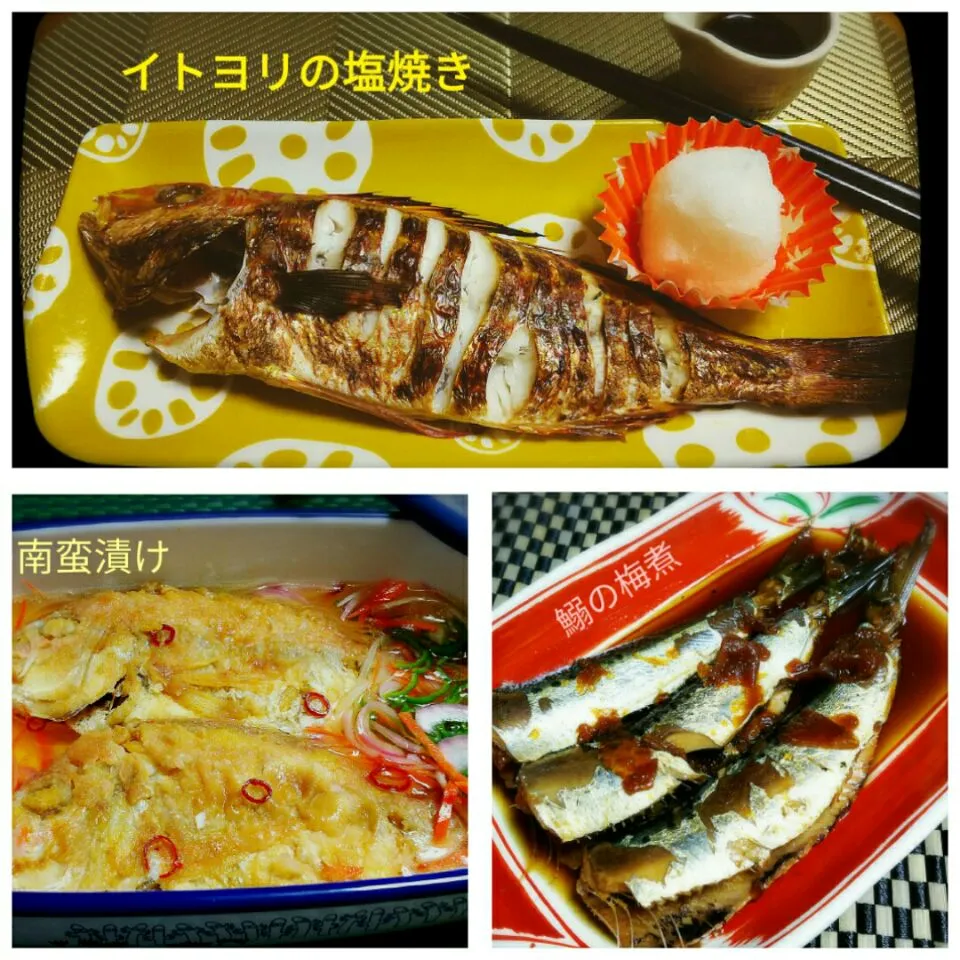 対馬から送ってきた魚を使った🌃晩ごはん•*¨*•.¸¸♪|☆Yumi☆さん