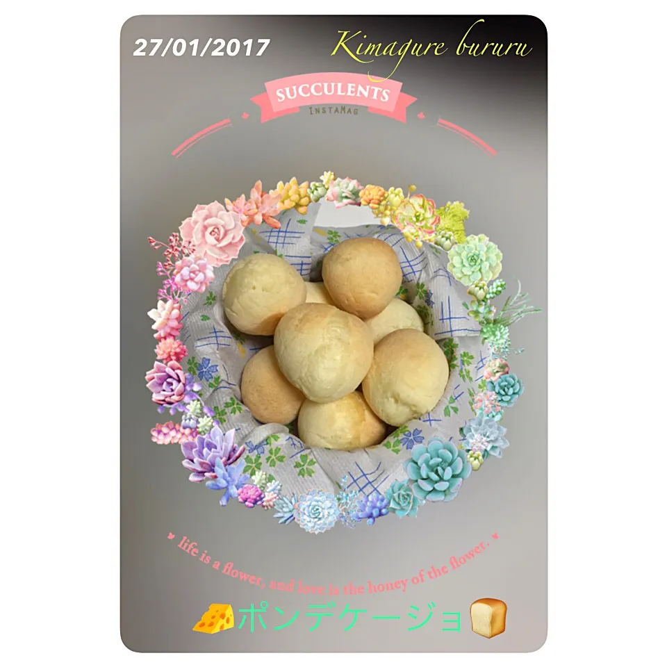 🧀ポンデケージョ🍞|気まぐれぶるるさん