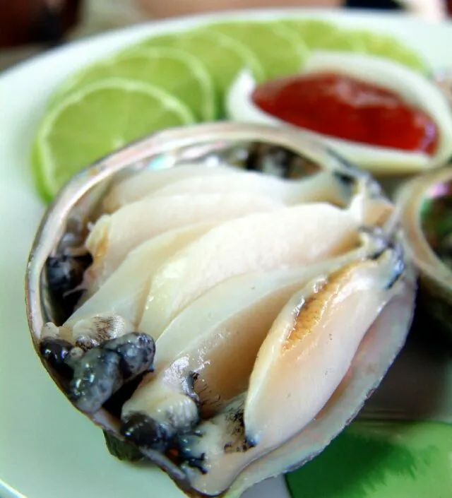 Snapdishの料理写真:fresh abalone|steven z.y.さん