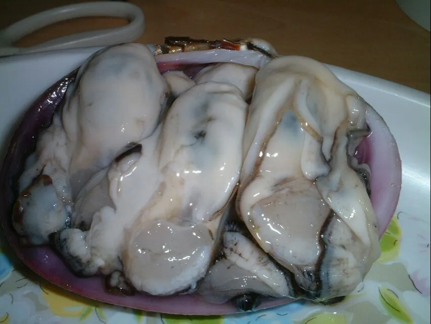 fresh oysters|steven z.y.さん