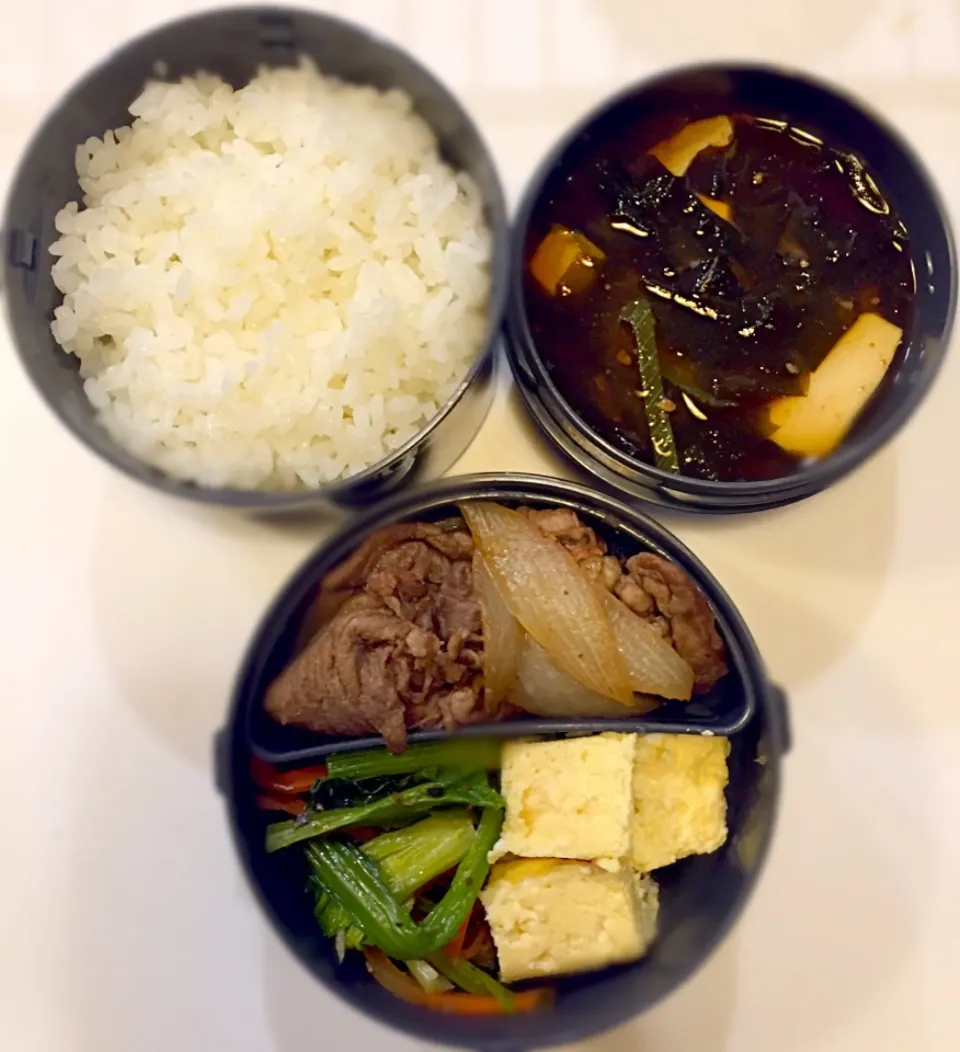 #牛丼弁当 #小松菜お浸し #卵焼き #赤だし|アンジーさん