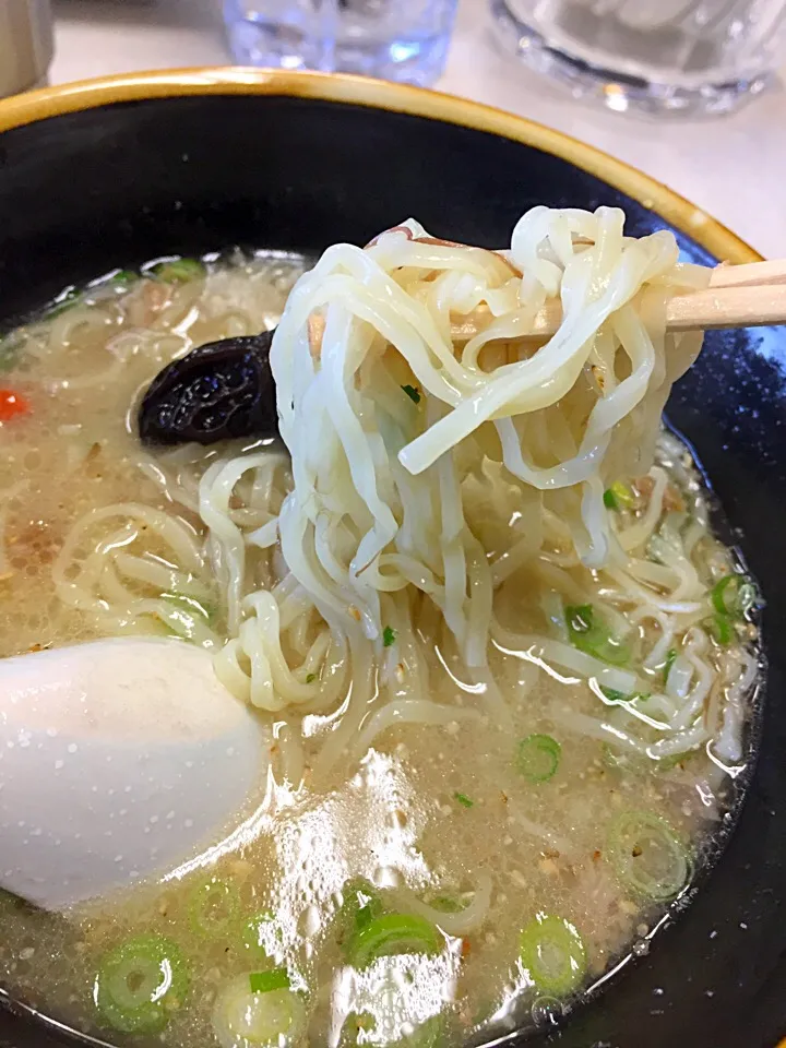 テールスープラーメン|DAIさん