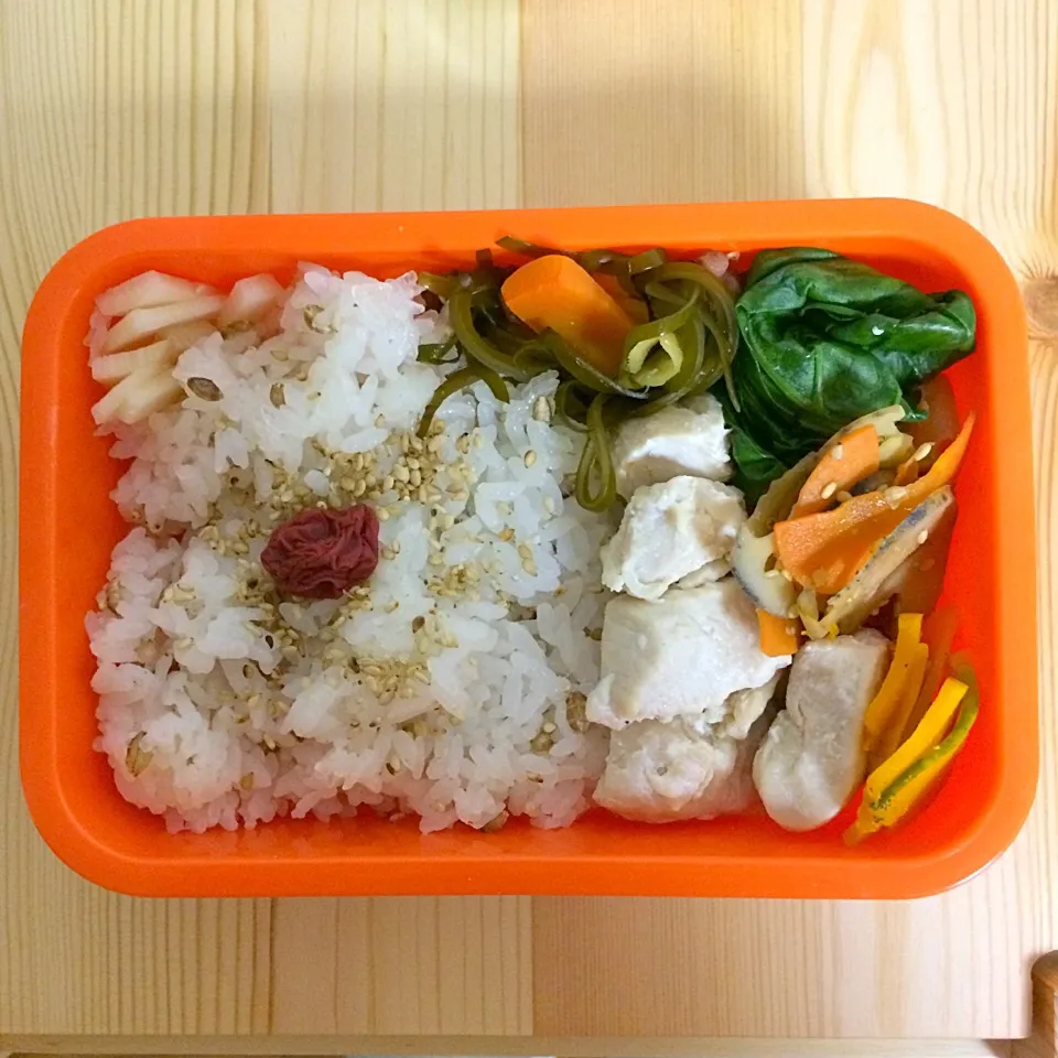 01/28 お弁当|はまみさん