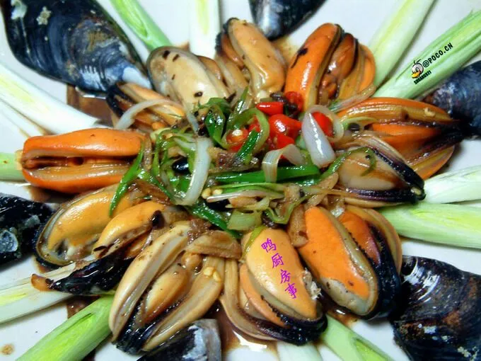 mussels|steven z.y.さん