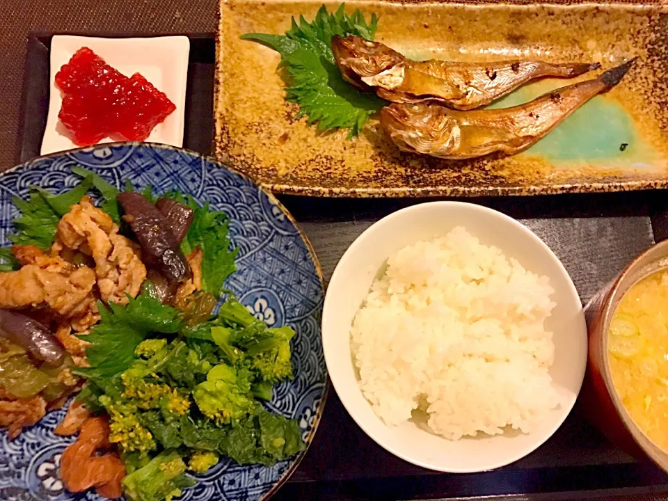 秋田からの和定食

☆ハタハタの丸干
☆筋子
☆豚なす味噌
☆春菊の辛あえ|☆アスカ☆さん