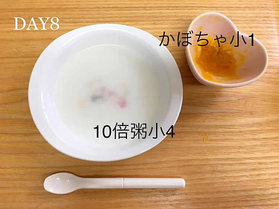 DAY8 離乳食初期 #pianokittybabyfood|離乳食完了期 1歳さん