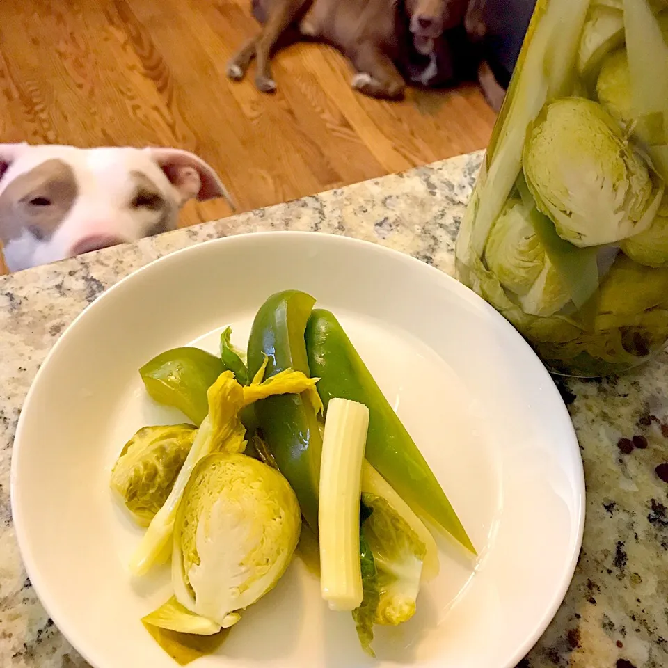 Homemade pickles.|Nanaさん