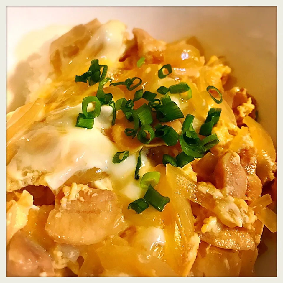 急に肉が食べたいって…元気になってきたのかな〜Chicken & eggs rice bowl

#親子丼|toyamadaさん