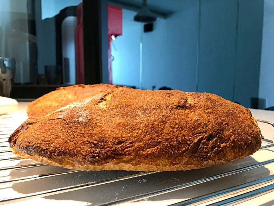 Snapdishの料理写真:Sourdough#20 nice rise|Chocochuさん